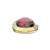 Goudkleur + Fuchsia