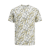 Wit