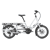 Grijs