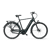 Fietsen Gaethofs Brons