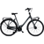 Fietsen Gaethofs Brons