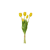 Geel