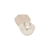 Geel