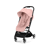 Roze