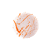 Oranje