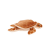 Overige