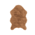 BRUIN