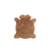 Bruin