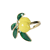 Geel