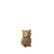 Bruin