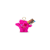 Overige