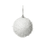 Winterwit