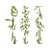 Licht Groen