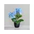 Blauw