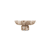 Bruin