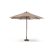 Bruin