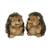 Bruin