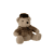 Bruin