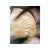Geel