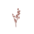 Champagne Roze