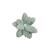 Salie groen