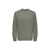 CASTOR GRAY