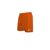 ORANGE BLAZE