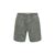 CASTOR GRAY