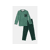 GROENE STREEP