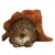 Bruin