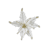 Wolwit