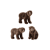 BRUIN