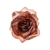 Veloursroze