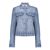Blauw
