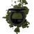 Dark green