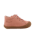 Phard rose