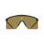 Grijs