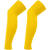 Geel