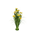GEEL