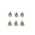 NVT