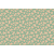 NVT