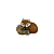 BRUIN
