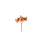 ORANJE