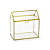 TRANSPARENT
