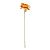 ORANJE