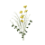 JAUNE CLAIR