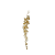 AMBRE