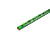 NVT