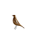 Bird Walnut