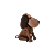 Walnoot